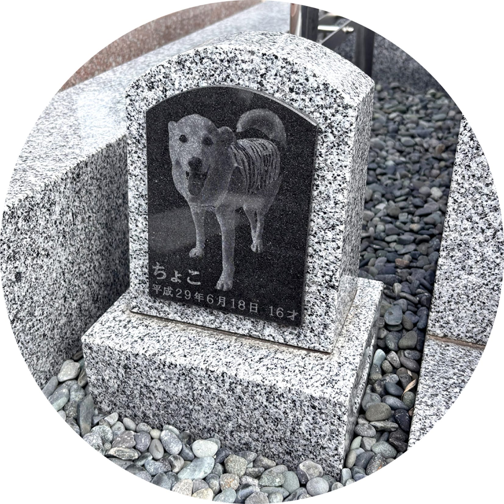 ペットのお墓 イメージ