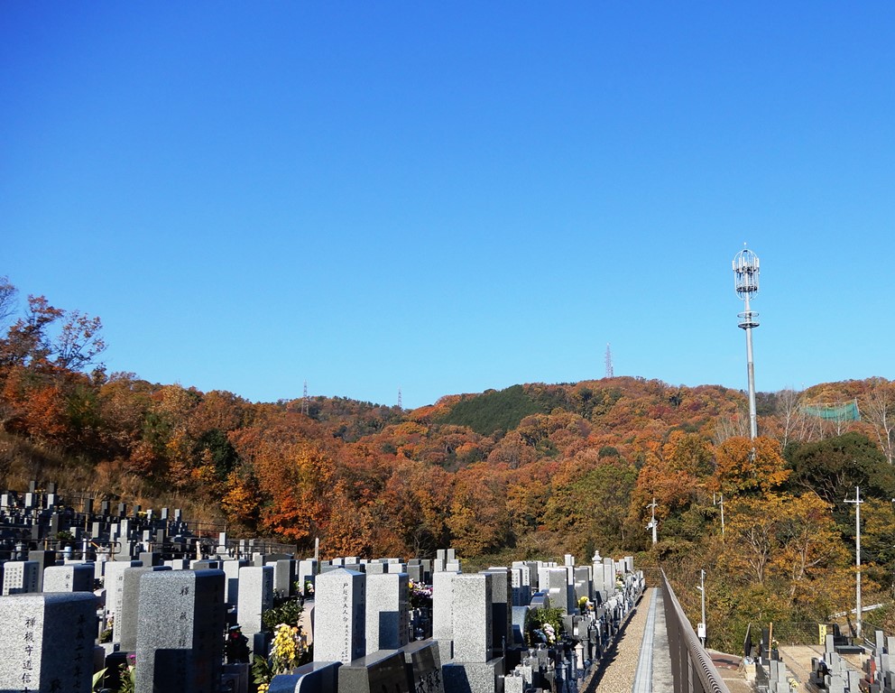 そよかぜ霊園 晩秋の風景 成和 公式サイト 大阪府高槻市 羽曳野市 奈良県の霊園 墓地 お墓