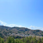 苑内からの風景　山桜