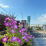 はにゅうの霊園　夏の花