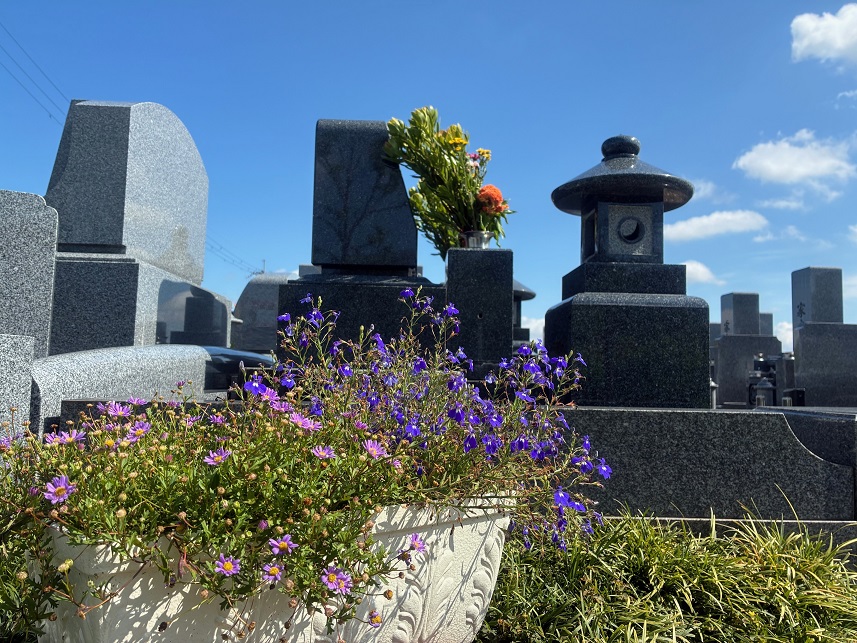 はにゅうの霊園　夏の花⑥