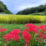 そよかぜ霊園　永代供養墓　秋彼岸法要