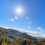 世界遺産 春日山原始林の紅葉風景