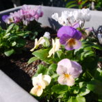 はにゅうの霊園　年末年始のお知らせ