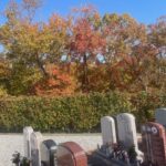 さとやま浄苑の紅葉