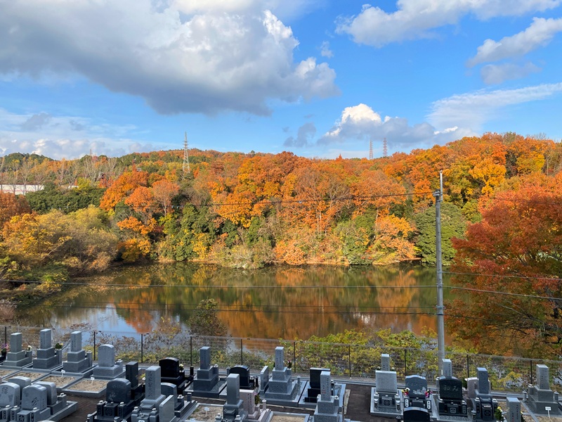 墓地　高槻　紅葉