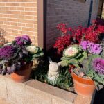 そよかぜ霊園　年始のご挨拶