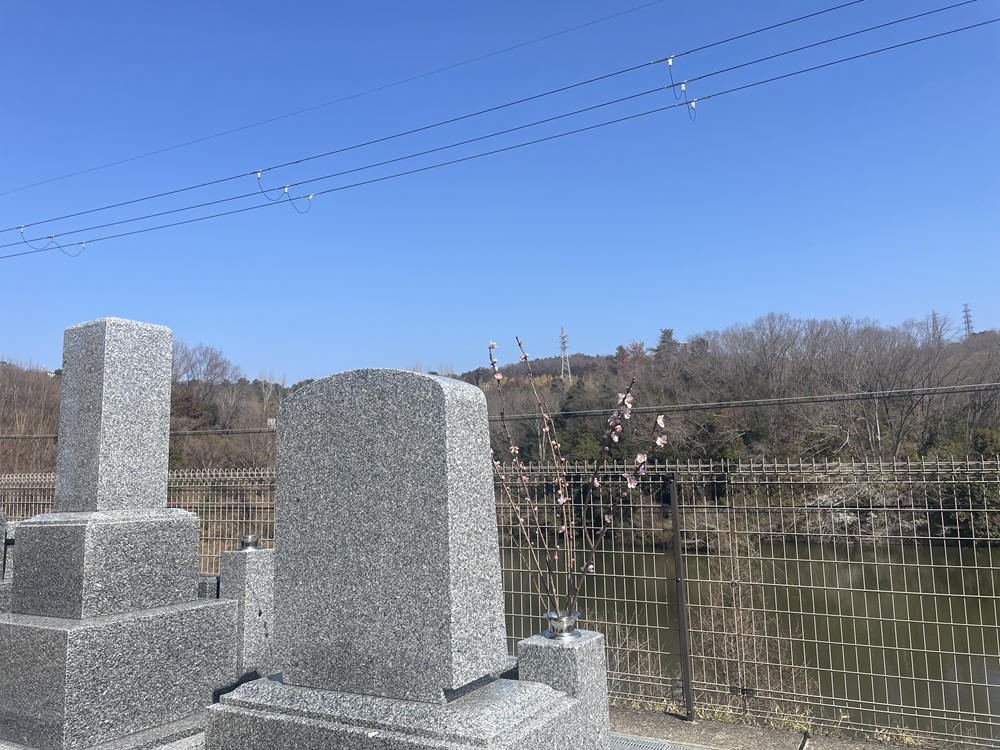 そよかぜ霊園　早春