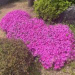 2026年春　さとやま浄苑　永代供養法要