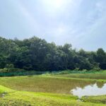 そよかぜ霊園付近の梅雨時期の光景