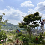 お盆前の剪定作業